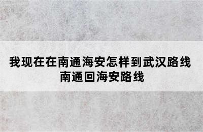 我现在在南通海安怎样到武汉路线 南通回海安路线